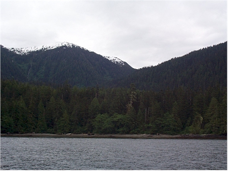 The view for miles and miles up Graham Reach