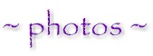 photosheader.jpg (3485 bytes)