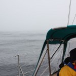 Grey sea, grey sky, colorful crew