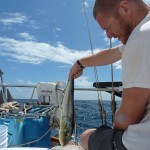 Fresh dorado catch!