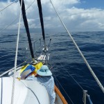 Fixing some undone spinnaker stitching on the foredeck