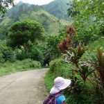 Starting up the road to the Vai’e’enui waterfall (Fatu Hiva)