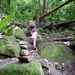Hiking through the jungle to the waterfall (Fatu Hiva)