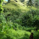 Deliciously green (Fatu Hiva)