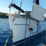 Knotty Lady whale damage
