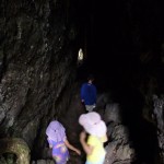 Rangitoto lava caves