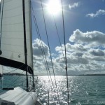 Sailing into the Hauraki Gult